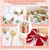 image:imageAnezus 12 Gauge Aluminum Wire 100 Feet  2mm Metal Armature Bendable Sculpting Wire for Crafts Wreath Making Jewelry Making Beading Floral Silvercopper